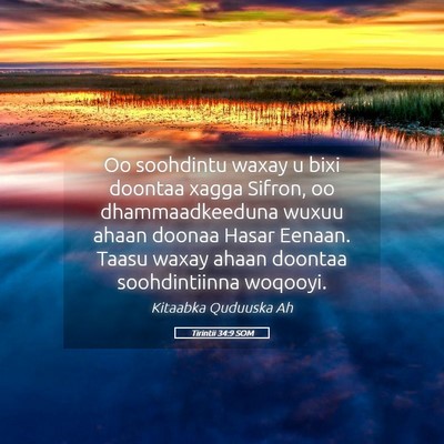 Picture 05 - Tirintii 34:9 SOM - Oo soohdintu waxay u bixi doontaa xagga Sifron, - Bible Verse Picture