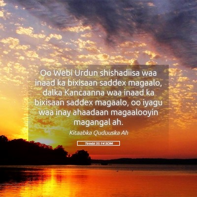 Picture 05 - Tirintii 35:14 SOM - Oo Webi Urdun shishadiisa waa inaad ka bixisaan - Bible Verse Picture