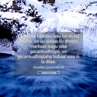 Picture 05 - Tirintii 35:16 SOM - Laakiinse hadduu wax bir ah ku dhufto, oo uu - Bible Verse Picture