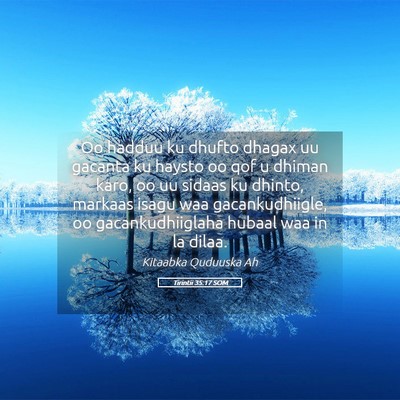 Picture 05 - Tirintii 35:17 SOM - Oo hadduu ku dhufto dhagax uu gacanta ku haysto - Bible Verse Picture