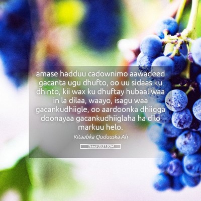 Picture 05 - Tirintii 35:21 SOM - amase hadduu cadownimo aawadeed gacanta ugu - Bible Verse Picture