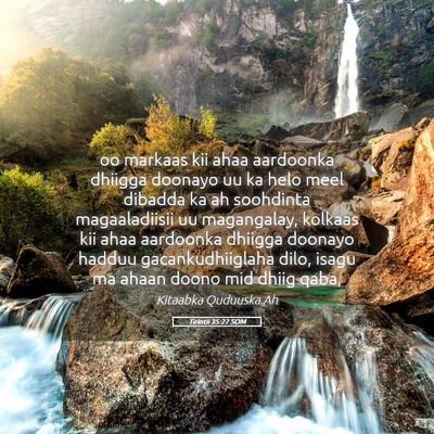 Picture 05 - Tirintii 35:27 SOM - oo markaas kii ahaa aardoonka dhiigga doonayo uu - Bible Verse Picture