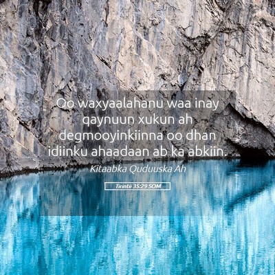 Picture 05 - Tirintii 35:29 SOM - Oo waxyaalahanu waa inay qaynuun xukun ah - Bible Verse Picture