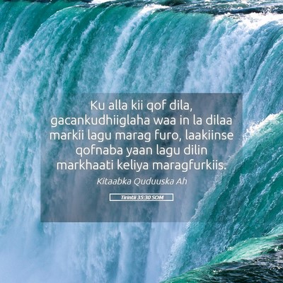 Picture 05 - Tirintii 35:30 SOM - Ku alla kii qof dila, gacankudhiiglaha waa in la - Bible Verse Picture