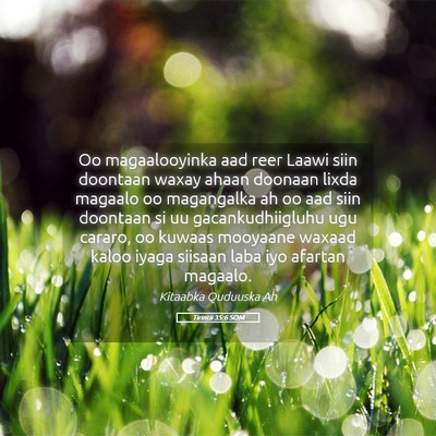 Picture 05 - Tirintii 35:6 SOM - Oo magaalooyinka aad reer Laawi siin doontaan - Bible Verse Picture