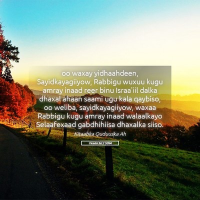 Picture 05 - Tirintii 36:2 SOM - oo waxay yidhaahdeen, Sayidkayagiiyow, Rabbigu - Bible Verse Picture