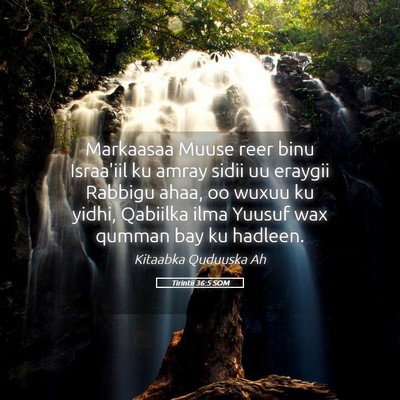 Picture 05 - Tirintii 36:5 SOM - Markaasaa Muuse reer binu Israa'iil ku amray - Bible Verse Picture