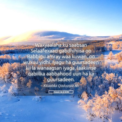 Picture 05 - Tirintii 36:6 SOM - Waxyaalaha ku saabsan Selaafexaad gabdhihiisa oo - Bible Verse Picture