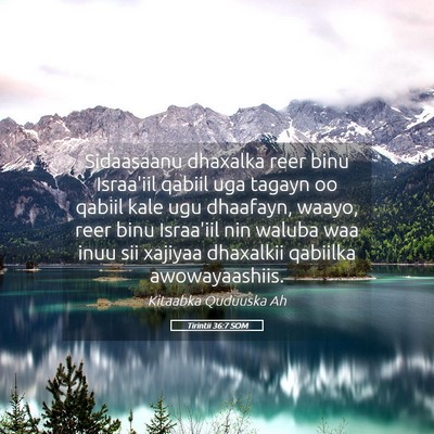 Picture 05 - Tirintii 36:7 SOM - Sidaasaanu dhaxalka reer binu Israa'iil qabiil - Bible Verse Picture