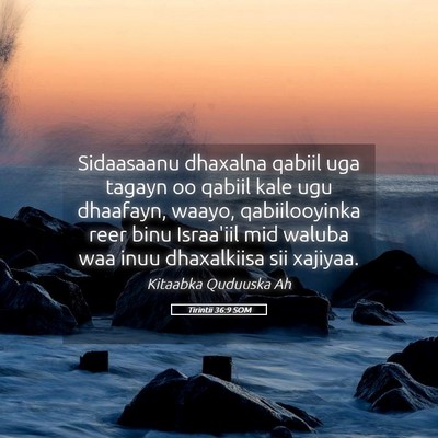 Picture 05 - Tirintii 36:9 SOM - Sidaasaanu dhaxalna qabiil uga tagayn oo qabiil - Bible Verse Picture