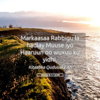 Picture 05 - Tirintii 4:17 SOM - Markaasaa Rabbigu la hadlay Muuse iyo Haaruun oo - Bible Verse Picture
