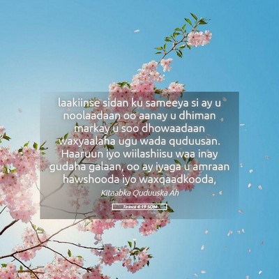 Picture 05 - Tirintii 4:19 SOM - laakiinse sidan ku sameeya si ay u noolaadaan oo - Bible Verse Picture