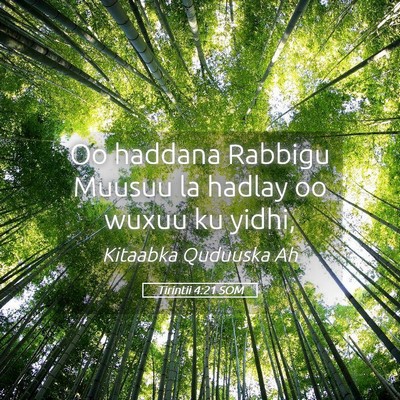 Picture 05 - Tirintii 4:21 SOM - Oo haddana Rabbigu Muusuu la hadlay oo wuxuu ku - Bible Verse Picture