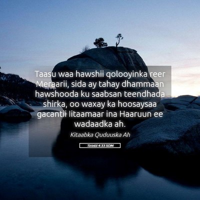 Picture 05 - Tirintii 4:33 SOM - Taasu waa hawshii qolooyinka reer Meraarii, sida - Bible Verse Picture