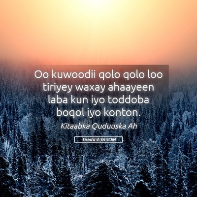 Picture 05 - Tirintii 4:36 SOM - Oo kuwoodii qolo qolo loo tiriyey waxay ahaayeen - Bible Verse Picture