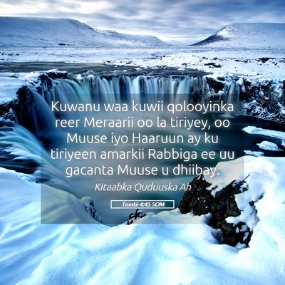 Picture 05 - Tirintii 4:45 SOM - Kuwanu waa kuwii qolooyinka reer Meraarii oo la - Bible Verse Picture