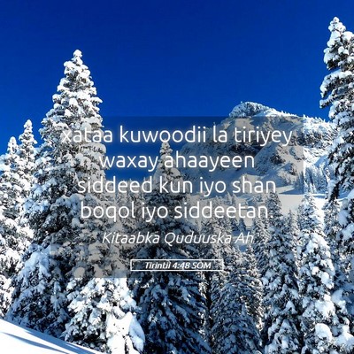 Picture 05 - Tirintii 4:48 SOM - xataa kuwoodii la tiriyey waxay ahaayeen siddeed - Bible Verse Picture