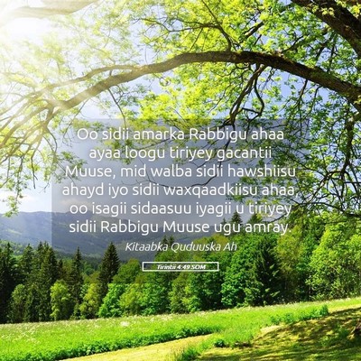 Picture 05 - Tirintii 4:49 SOM - Oo sidii amarka Rabbigu ahaa ayaa loogu tiriyey - Bible Verse Picture