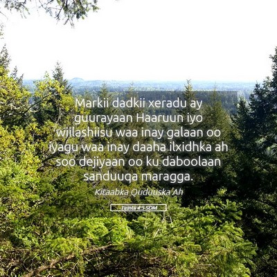 Picture 05 - Tirintii 4:5 SOM - Markii dadkii xeradu ay guurayaan Haaruun iyo - Bible Verse Picture