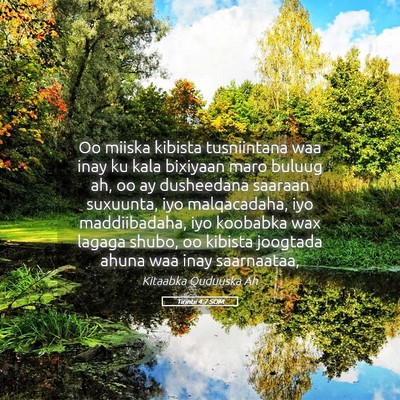 Picture 05 - Tirintii 4:7 SOM - Oo miiska kibista tusniintana waa inay ku kala - Bible Verse Picture