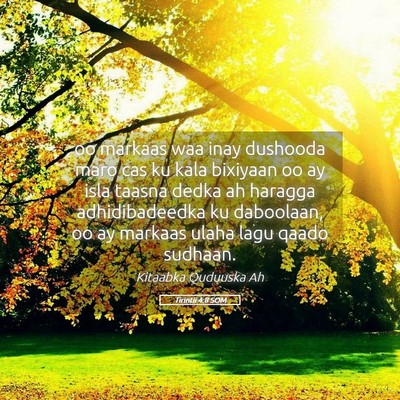 Picture 05 - Tirintii 4:8 SOM - oo markaas waa inay dushooda maro cas ku kala - Bible Verse Picture