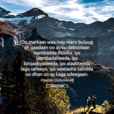 Picture 05 - Tirintii 4:9 SOM - Oo markaas waa inay maro buluug ah qaadaan oo ay - Bible Verse Picture