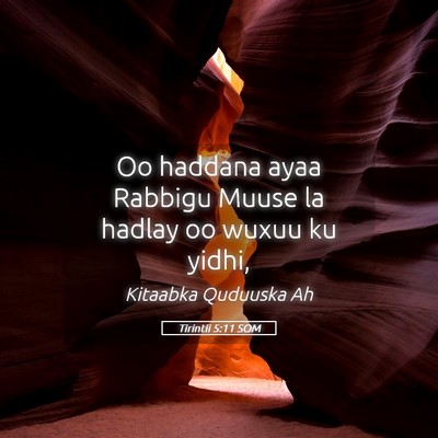Picture 05 - Tirintii 5:11 SOM - Oo haddana ayaa Rabbigu Muuse la hadlay oo wuxuu - Bible Verse Picture