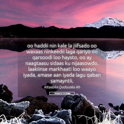 Picture 05 - Tirintii 5:13 SOM - oo haddii nin kale la jiifsado oo waxaas - Bible Verse Picture