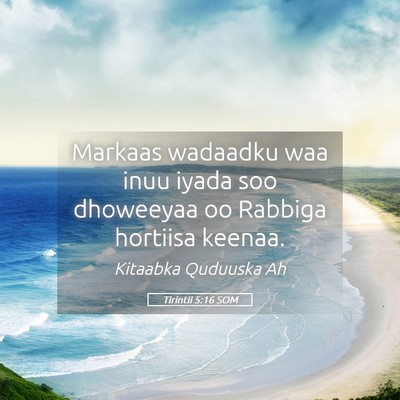Picture 05 - Tirintii 5:16 SOM - Markaas wadaadku waa inuu iyada soo dhoweeyaa oo - Bible Verse Picture