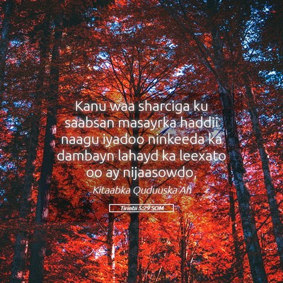 Picture 05 - Tirintii 5:29 SOM - Kanu waa sharciga ku saabsan masayrka haddii - Bible Verse Picture