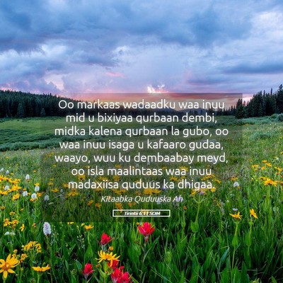 Picture 05 - Tirintii 6:11 SOM - Oo markaas wadaadku waa inuu mid u bixiyaa - Bible Verse Picture