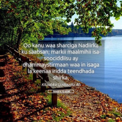 Picture 05 - Tirintii 6:13 SOM - Oo kanu waa sharciga Nadiirka ku saabsan; markii - Bible Verse Picture