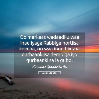 Picture 05 - Tirintii 6:16 SOM - Oo markaas wadaadku waa inuu iyaga Rabbiga - Bible Verse Picture