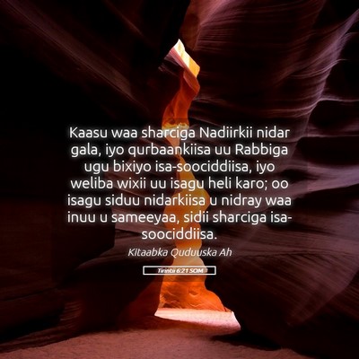 Picture 05 - Tirintii 6:21 SOM - Kaasu waa sharciga Nadiirkii nidar gala, iyo - Bible Verse Picture