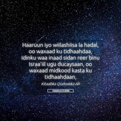 Picture 05 - Tirintii 6:23 SOM - Haaruun iyo wiilashiisa la hadal, oo waxaad ku - Bible Verse Picture