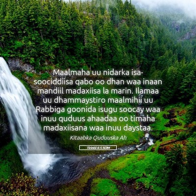 Picture 05 - Tirintii 6:5 SOM - Maalmaha uu nidarka isa-soociddiisa qabo oo dhan - Bible Verse Picture