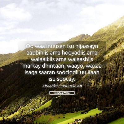 Picture 05 - Tirintii 6:7 SOM - Oo waa inuusan isu nijaasayn aabbihiis ama - Bible Verse Picture