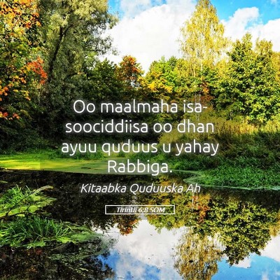 Picture 05 - Tirintii 6:8 SOM - Oo maalmaha isa-soociddiisa oo dhan ayuu quduus u - Bible Verse Picture