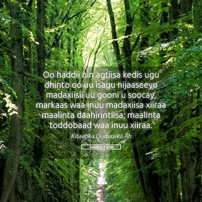 Picture 05 - Tirintii 6:9 SOM - Oo haddii nin agtiisa kedis ugu dhinto oo uu - Bible Verse Picture