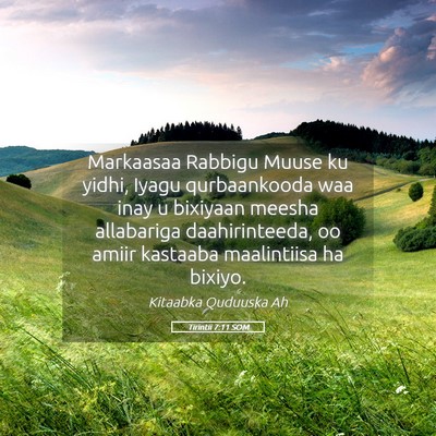 Picture 05 - Tirintii 7:11 SOM - Markaasaa Rabbigu Muuse ku yidhi, Iyagu - Bible Verse Picture
