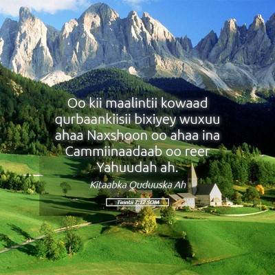 Picture 05 - Tirintii 7:12 SOM - Oo kii maalintii kowaad qurbaankiisii bixiyey - Bible Verse Picture