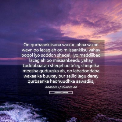 Picture 05 - Tirintii 7:13 SOM - Oo qurbaankiisuna wuxuu ahaa saxan weyn oo lacag - Bible Verse Picture