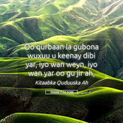 Picture 05 - Tirintii 7:15 SOM - Oo qurbaan la gubona wuxuu u keenay dibi yar, iyo - Bible Verse Picture