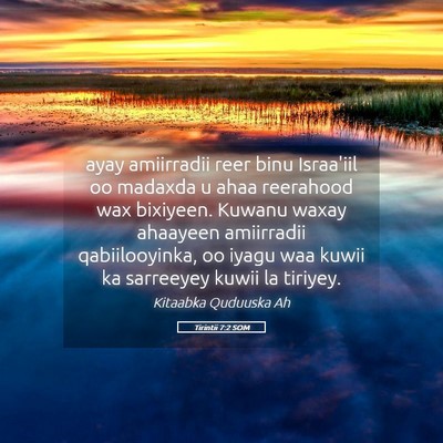 Picture 05 - Tirintii 7:2 SOM - ayay amiirradii reer binu Israa'iil oo madaxda u - Bible Verse Picture