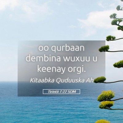 Picture 05 - Tirintii 7:22 SOM - oo qurbaan dembina wuxuu u keenay - Bible Verse Picture