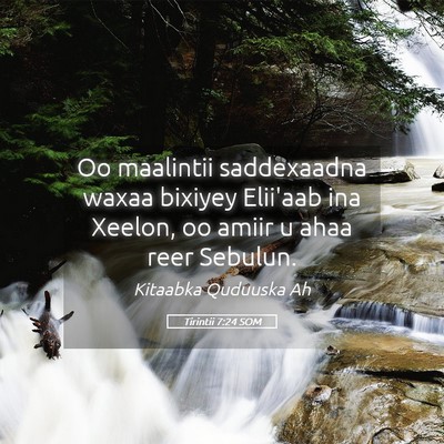 Picture 05 - Tirintii 7:24 SOM - Oo maalintii saddexaadna waxaa bixiyey Elii'aab - Bible Verse Picture