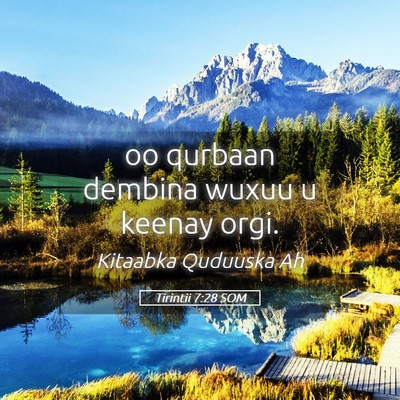 Picture 05 - Tirintii 7:28 SOM - oo qurbaan dembina wuxuu u keenay - Bible Verse Picture