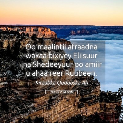 Picture 05 - Tirintii 7:30 SOM - Oo maalintii afraadna waxaa bixiyey Eliisuur ina - Bible Verse Picture