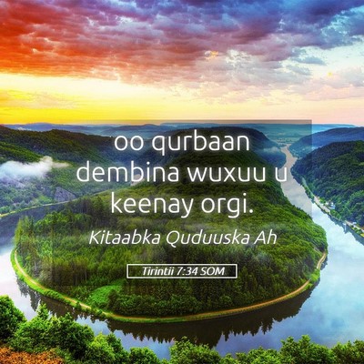 Picture 05 - Tirintii 7:34 SOM - oo qurbaan dembina wuxuu u keenay - Bible Verse Picture