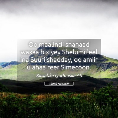 Picture 05 - Tirintii 7:36 SOM - Oo maalintii shanaad waxaa bixiyey Shelumii'eel - Bible Verse Picture